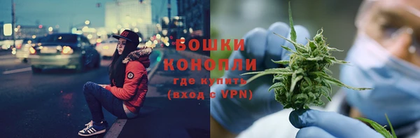 ПСИЛОЦИБИНОВЫЕ ГРИБЫ Аркадак