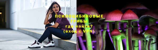 ПСИЛОЦИБИНОВЫЕ ГРИБЫ Аркадак