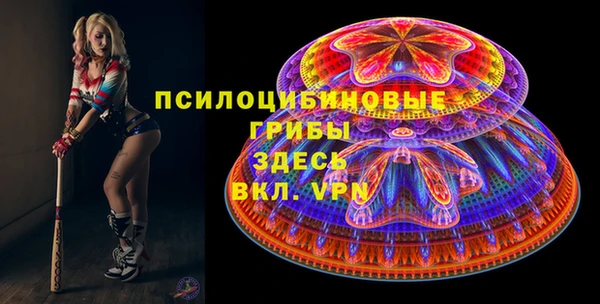 ПСИЛОЦИБИНОВЫЕ ГРИБЫ Аркадак