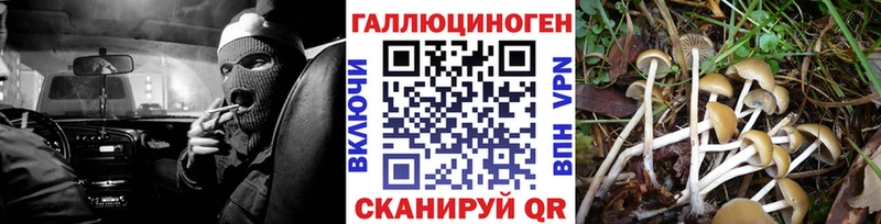 Псилоцибиновые грибы Psilocybe  Барыш 